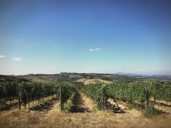Le vigne, a due chilometri da qui